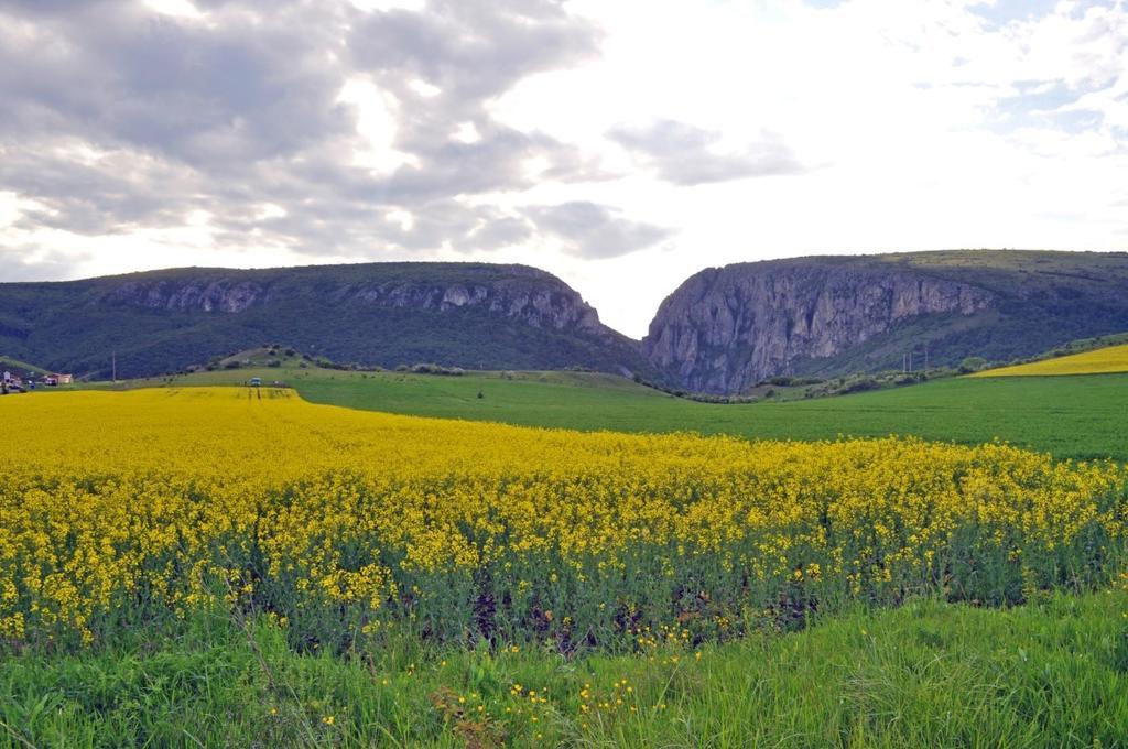 Pensiunea Cheile Apusenilor Villa Sandulesti Buitenkant foto