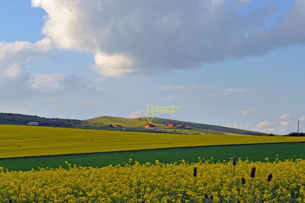 Pensiunea Cheile Apusenilor Villa Sandulesti Buitenkant foto