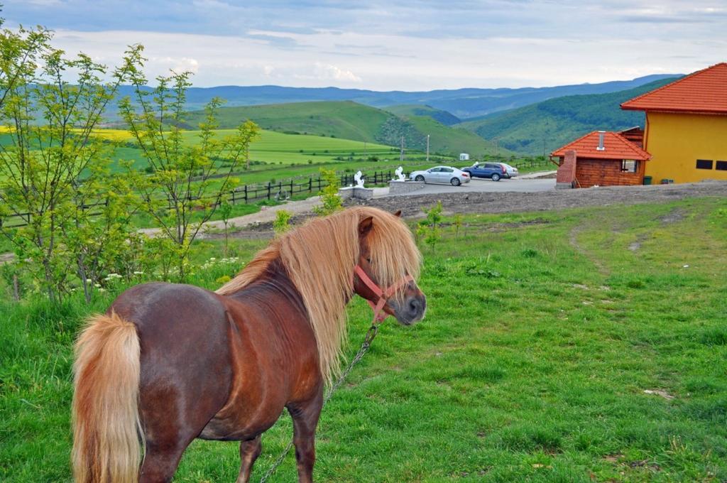 Pensiunea Cheile Apusenilor Villa Sandulesti Buitenkant foto