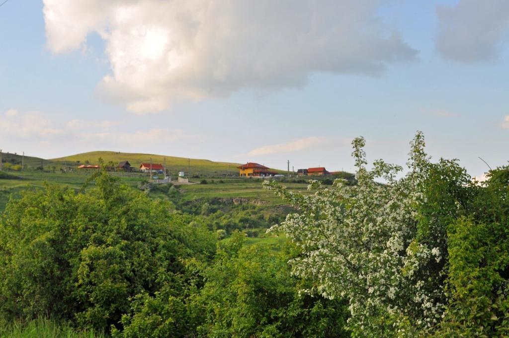 Pensiunea Cheile Apusenilor Villa Sandulesti Buitenkant foto