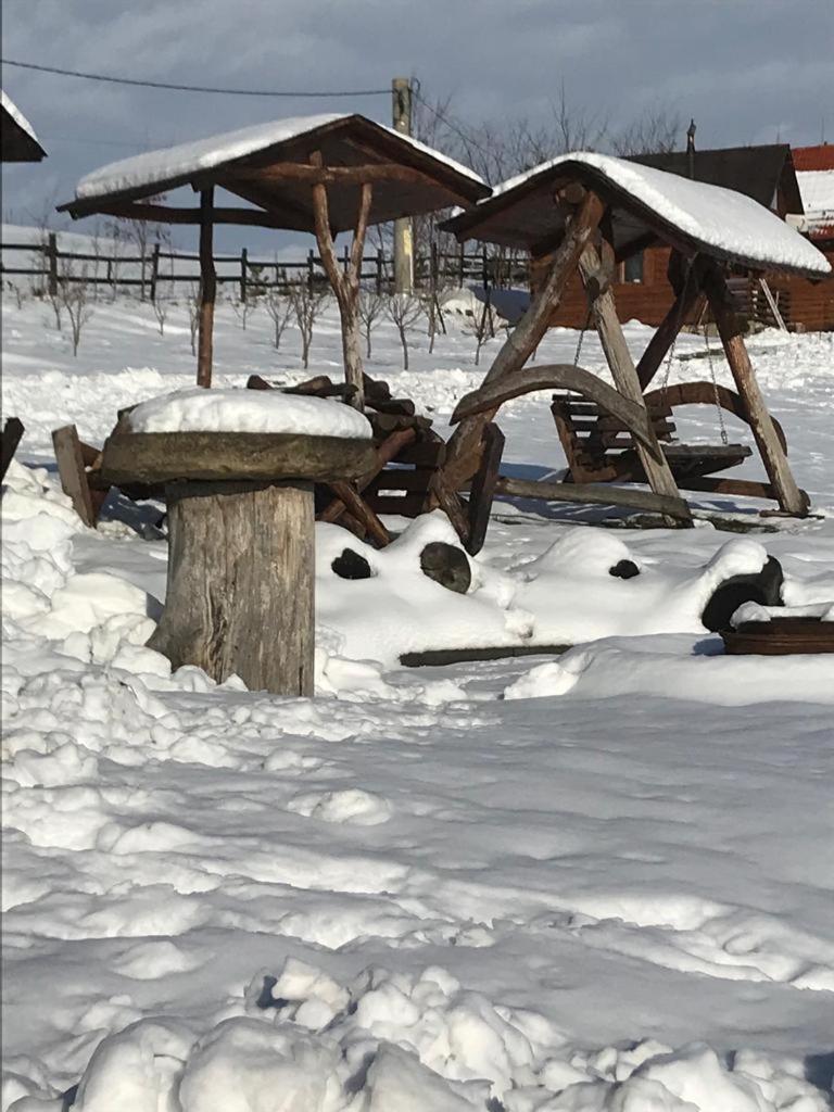 Pensiunea Cheile Apusenilor Villa Sandulesti Buitenkant foto