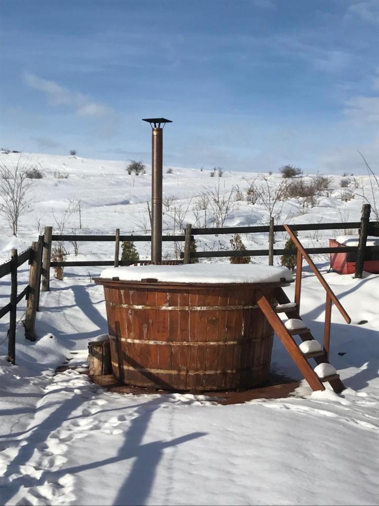 Pensiunea Cheile Apusenilor Villa Sandulesti Buitenkant foto