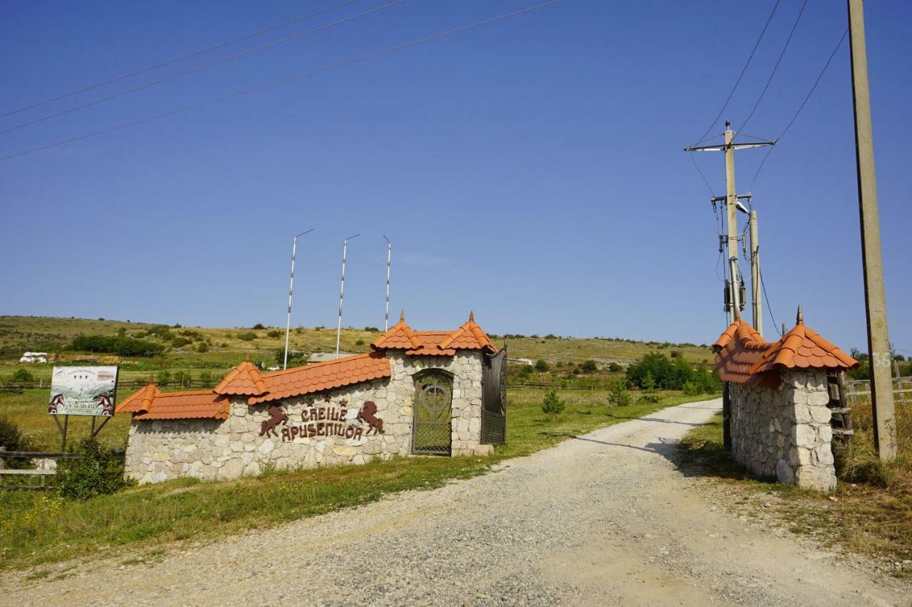 Pensiunea Cheile Apusenilor Villa Sandulesti Buitenkant foto